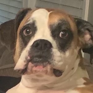 Meet your Posher, Tracy